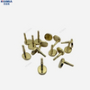 Messing-Doppelkappenniete DJ218